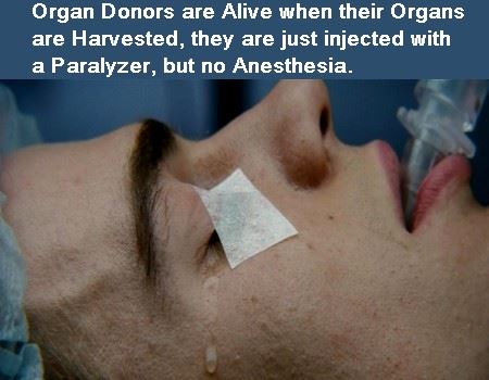 organ-donation-meme
